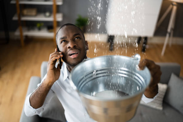 Best 24-hour water damage restoration  in Honea Path, SC
