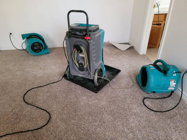 Best 24/7 water damage repair  in Honea Path, SC