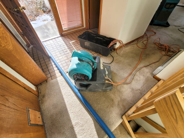 Sewage cleanup and water damage restoration in SC