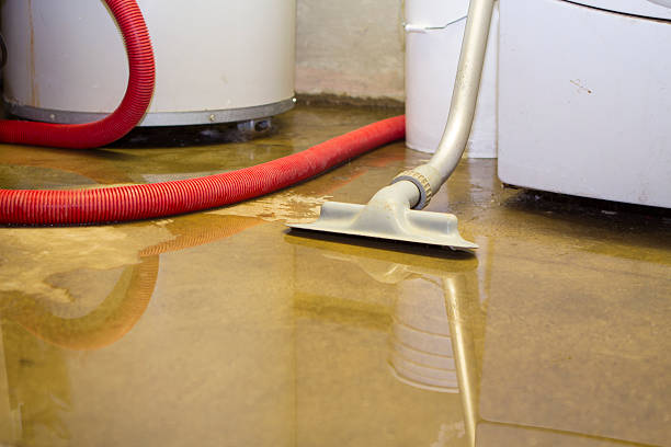Best Local water damage restoration  in Honea Path, SC