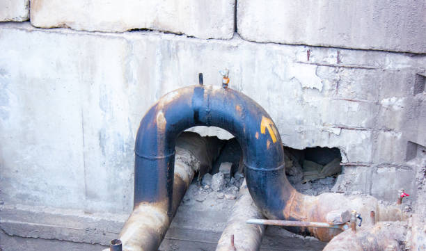 Best 24-hour water damage restoration  in Honea Path, SC