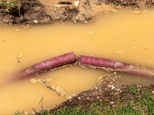  Honea Path, SC Water damage restoration Pros