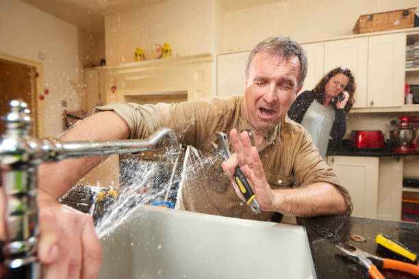 Best Professional water damage repair  in Honea Path, SC